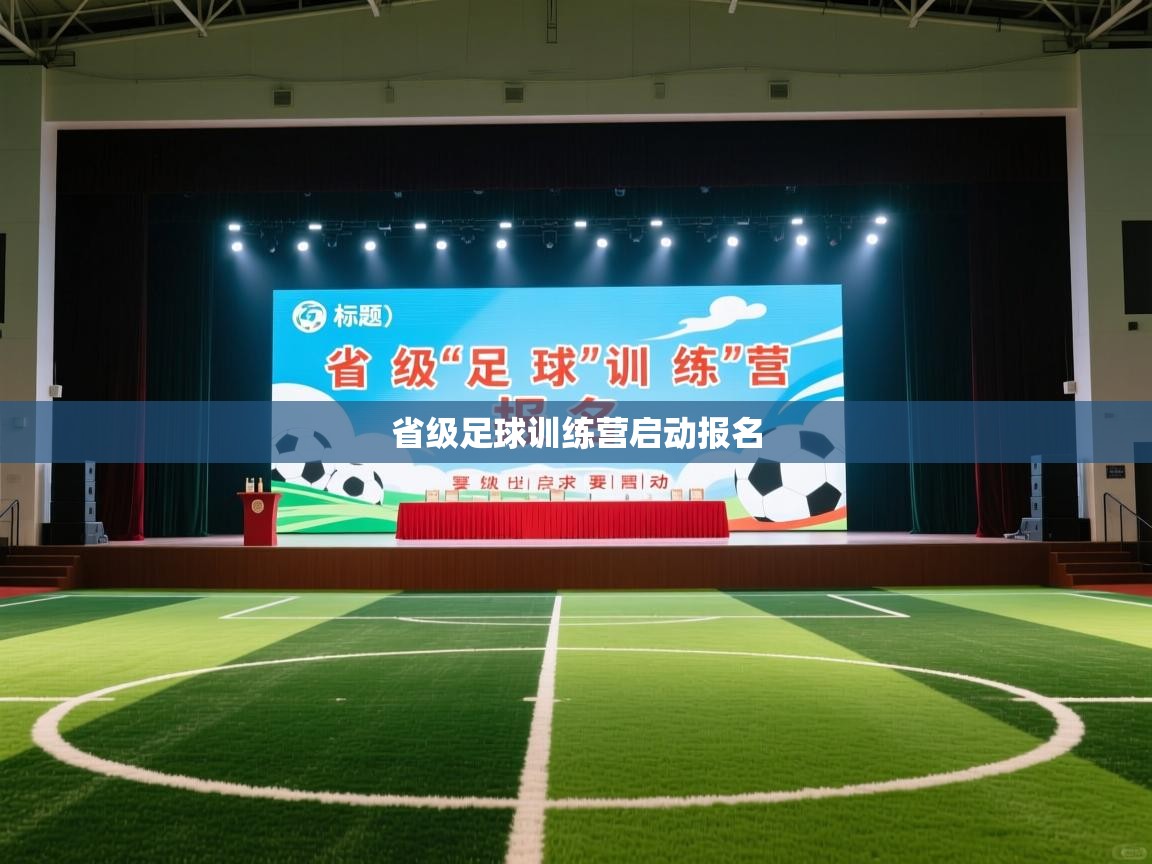 省级足球训练营启动报名  第2张